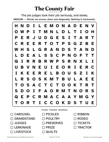 The County Fair word search: a 14 by 14 grid of large letters with 14 words to find