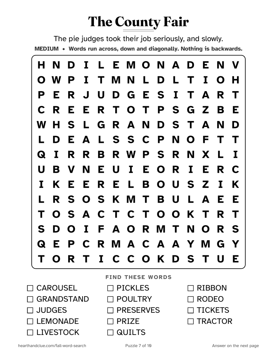 The County Fair Word Search puzzle page: a 14 by 14 grid of large letters with 14 words listed underneath